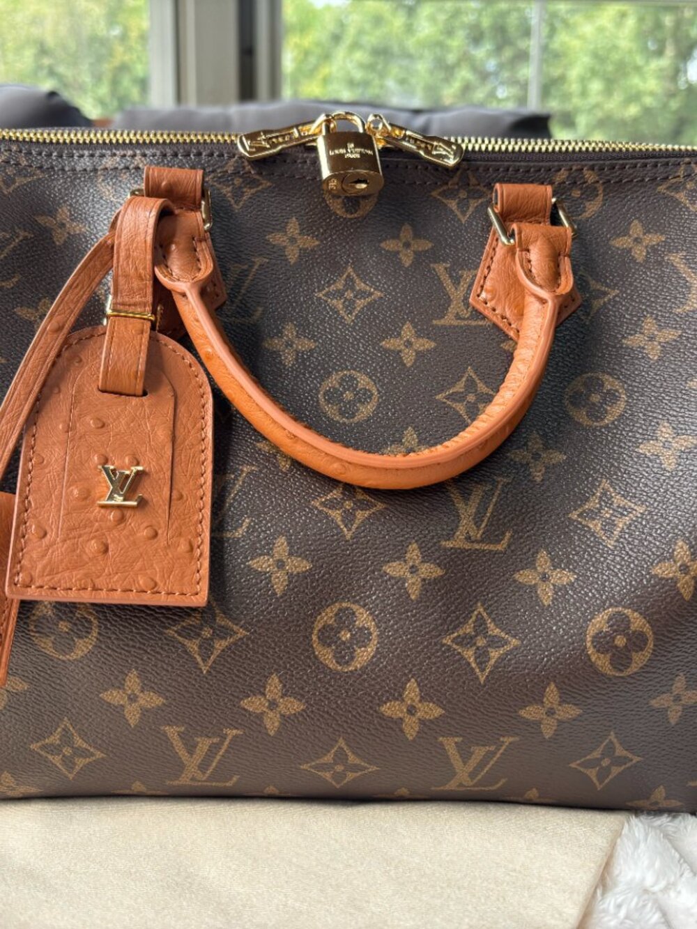 LV Soft Speedy 30 Boho - Picture 2 of 7